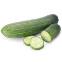 Cucumber