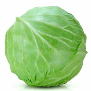 Cabbage